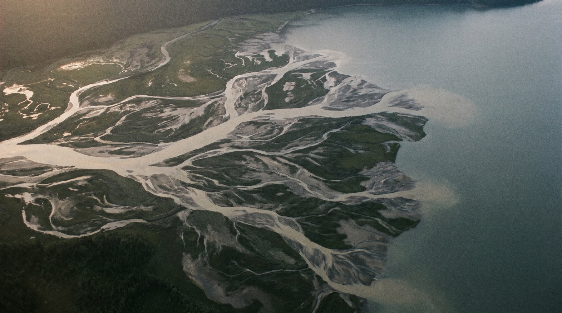 A river delta seen from directly above, its channels branching and rejoining before reaching the sea.