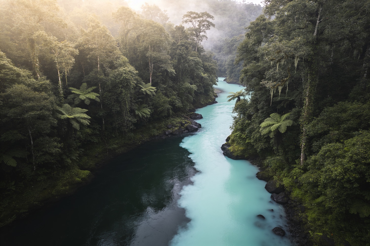 Two rivers of different colours meeting and running side by side in one channel, seen from above.